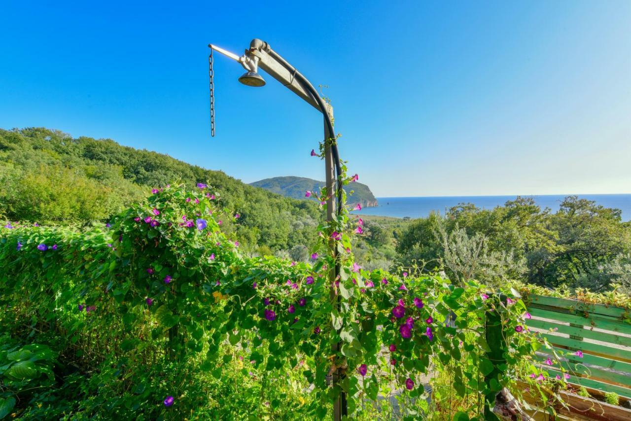 Pataki Guesthouse Petrovac Exterior foto